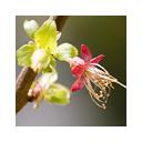 휘즈 반응형 테마